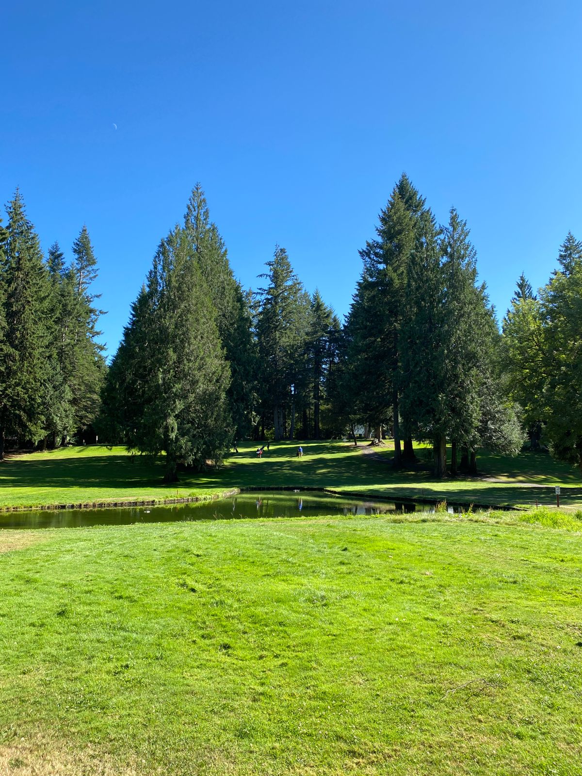 Hole 4 fairway.