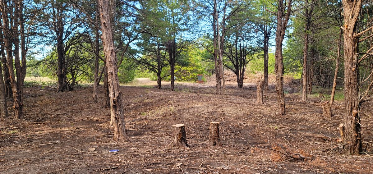 hole 4 fairway