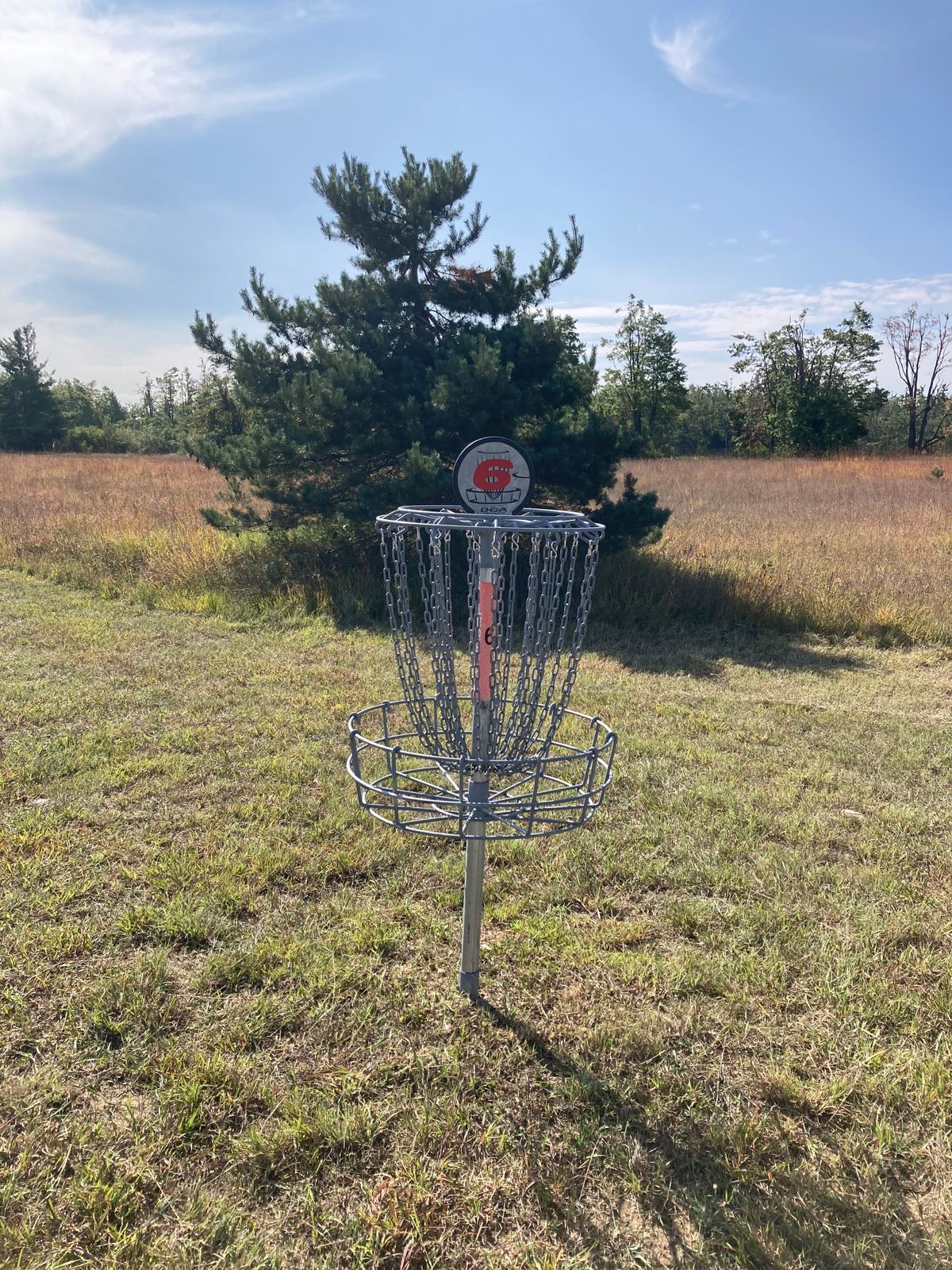 Hole 6 Basket