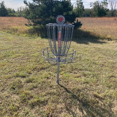 Hole 6 Basket