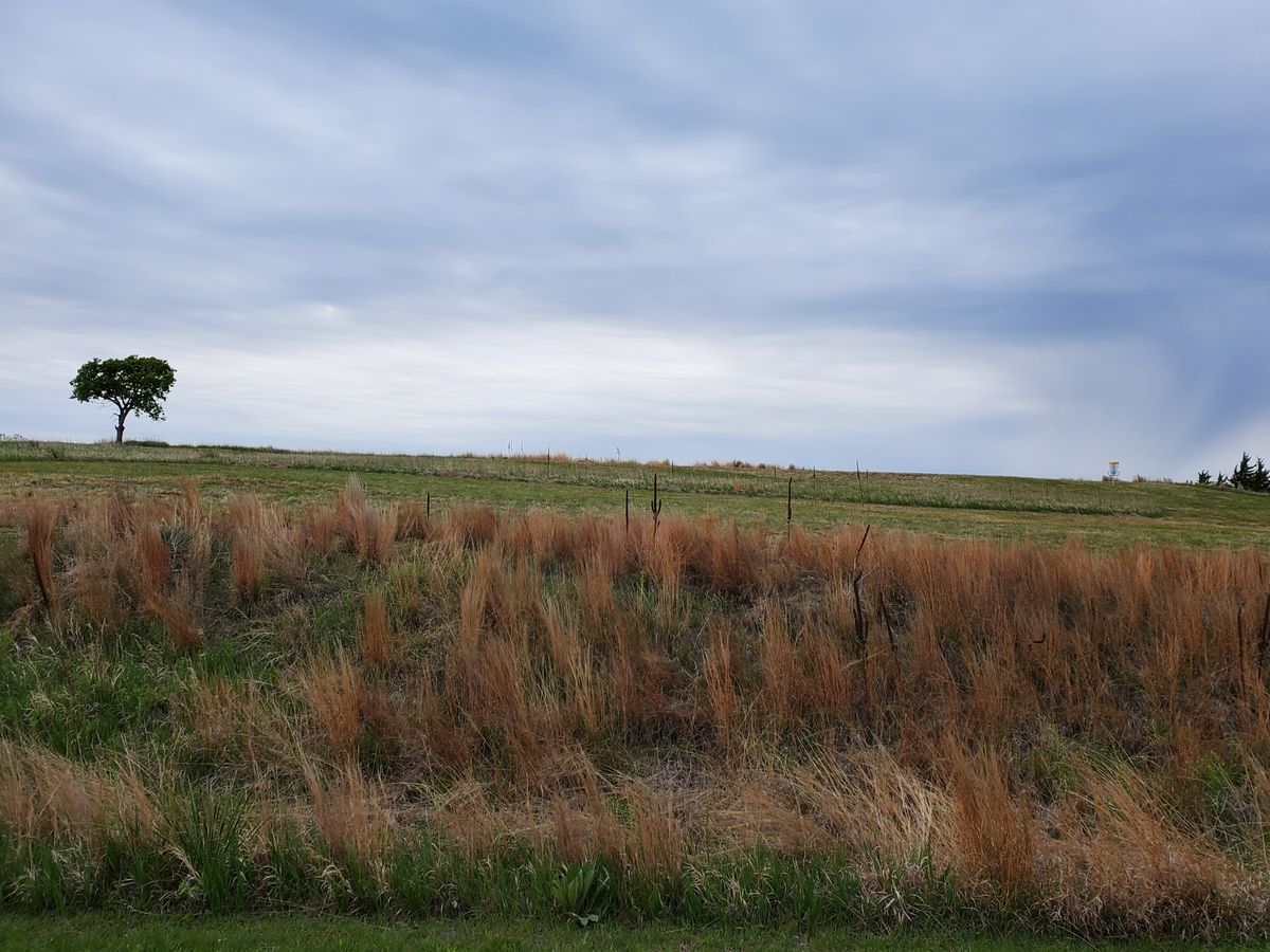 Hole 6 Side View