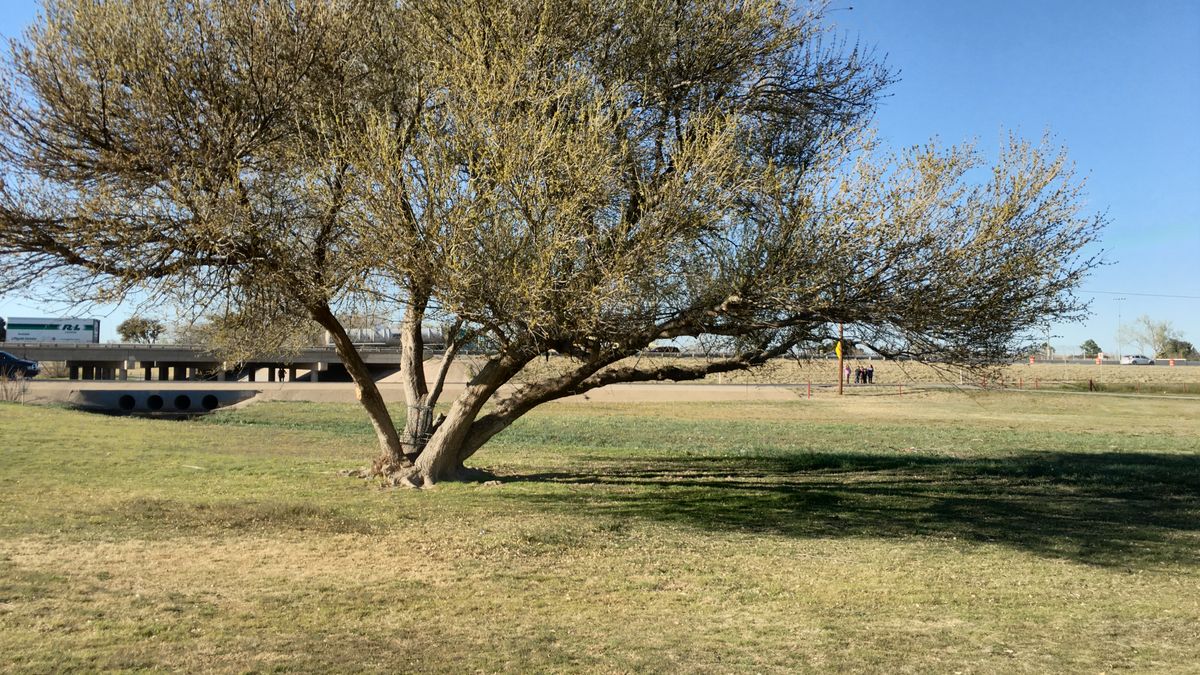 Hole 11