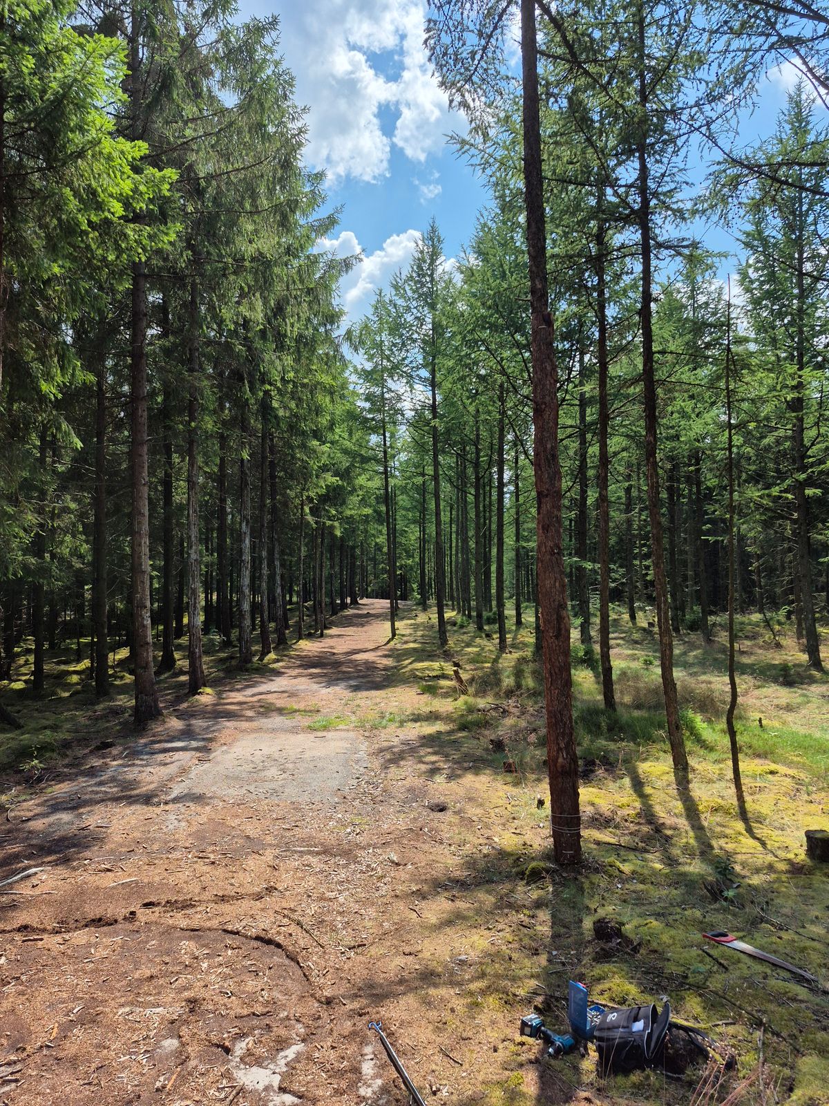 Hole 4 - From the yellow teebox