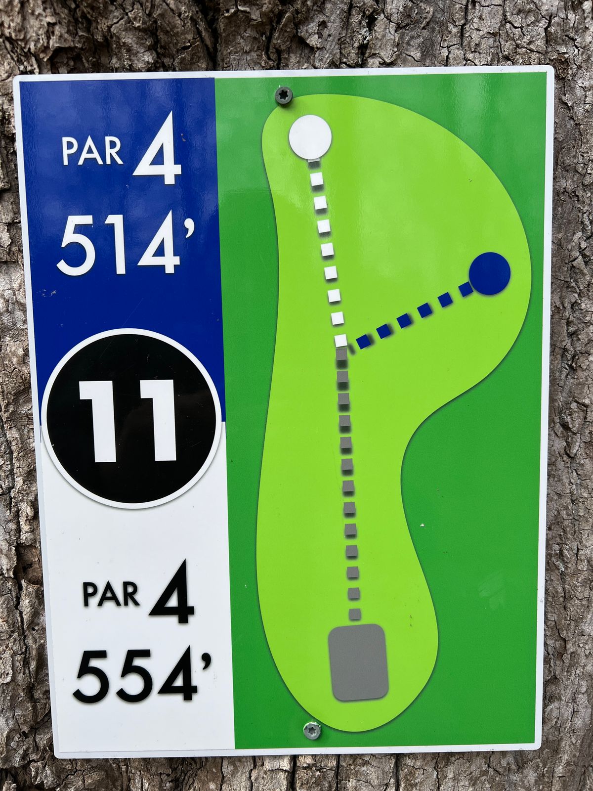 Hole #11