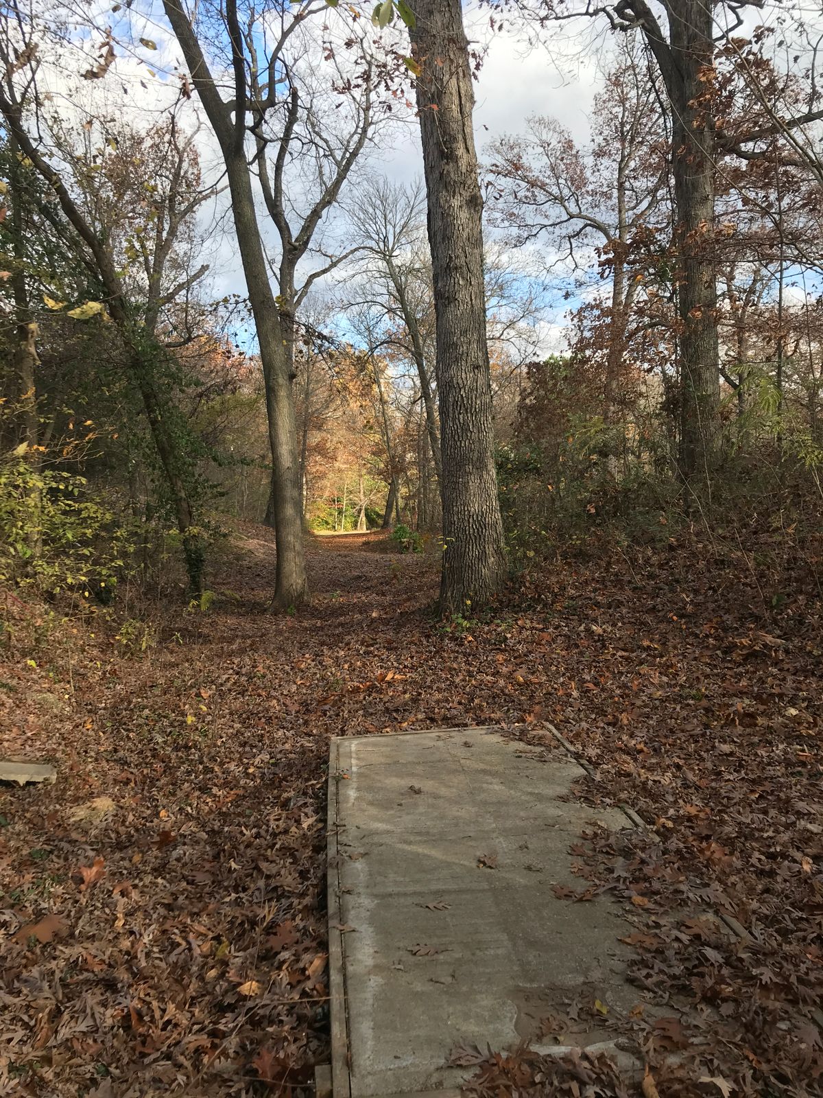 Hole 5