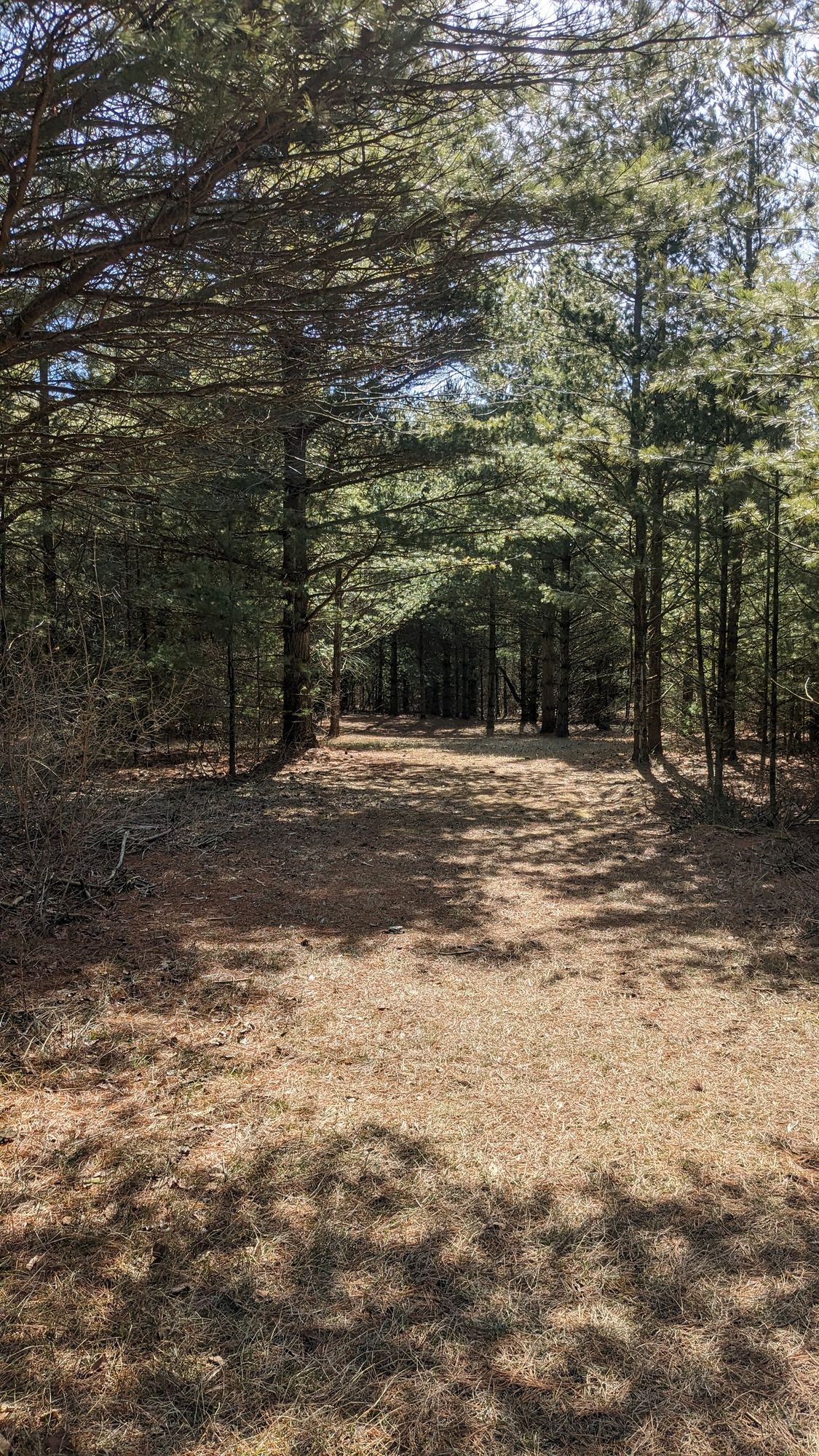 Hole 11-short but hard left turn