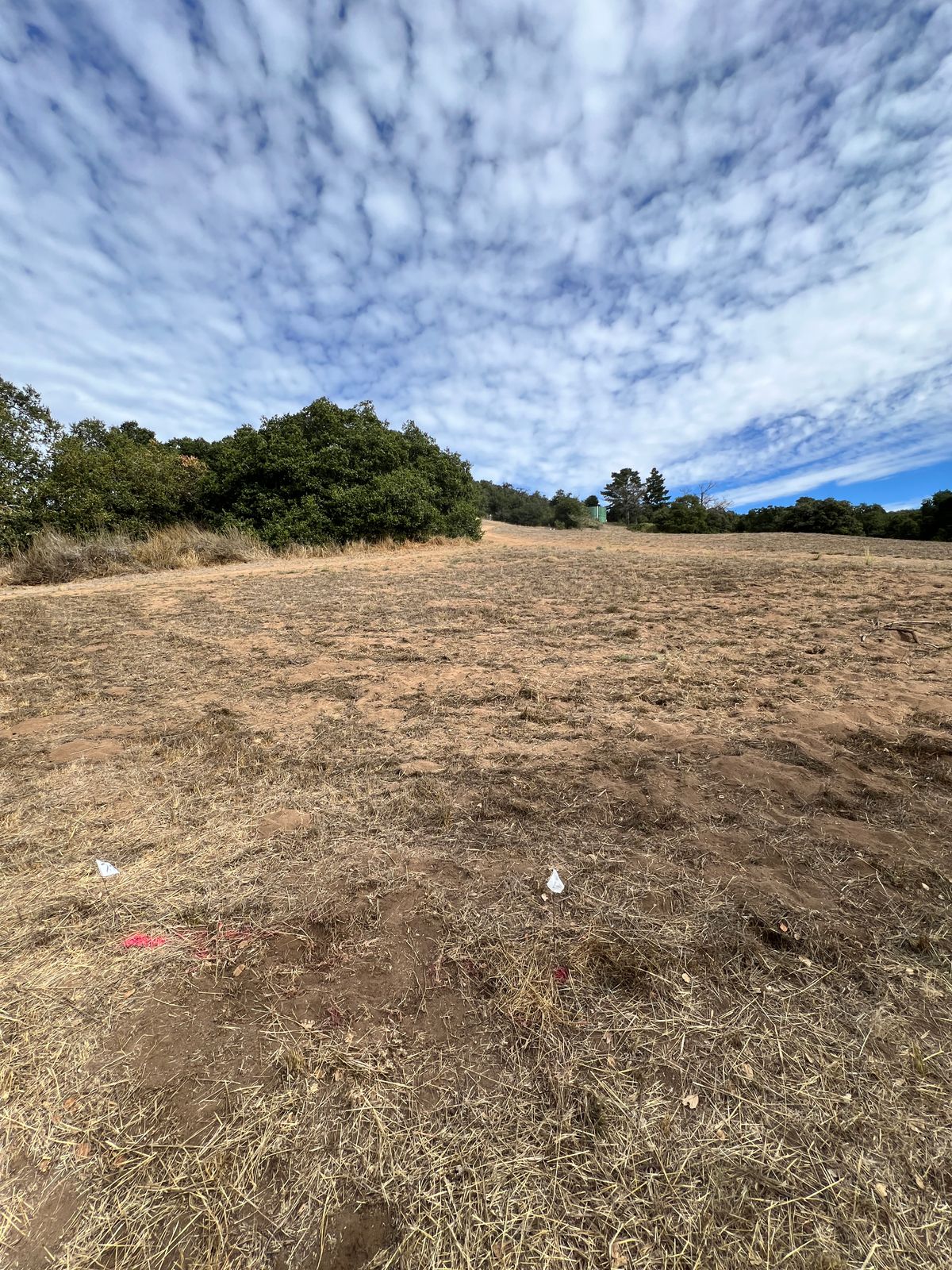 Hole 7 from the tee pad.