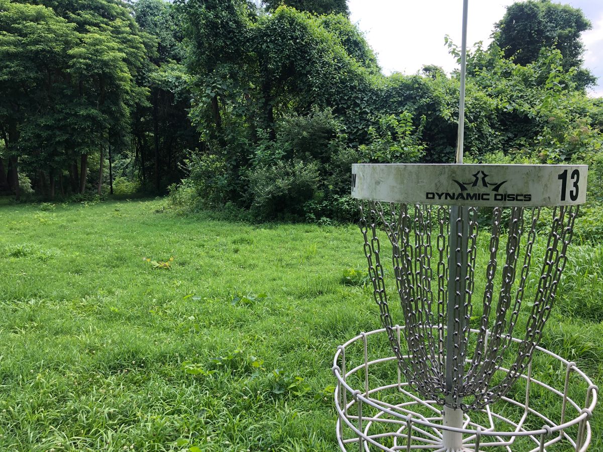 13 basket