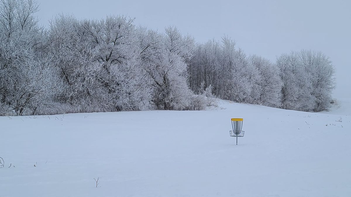 Hole 3 after some freezing fog! Rime frost