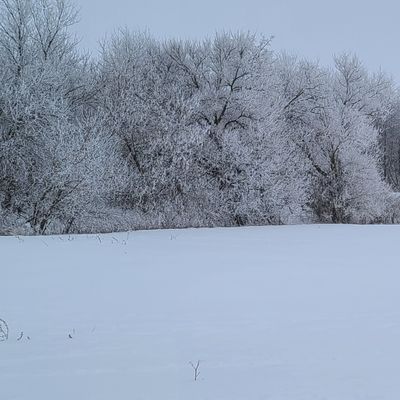 Hole 3 after some freezing fog! Rime frost
