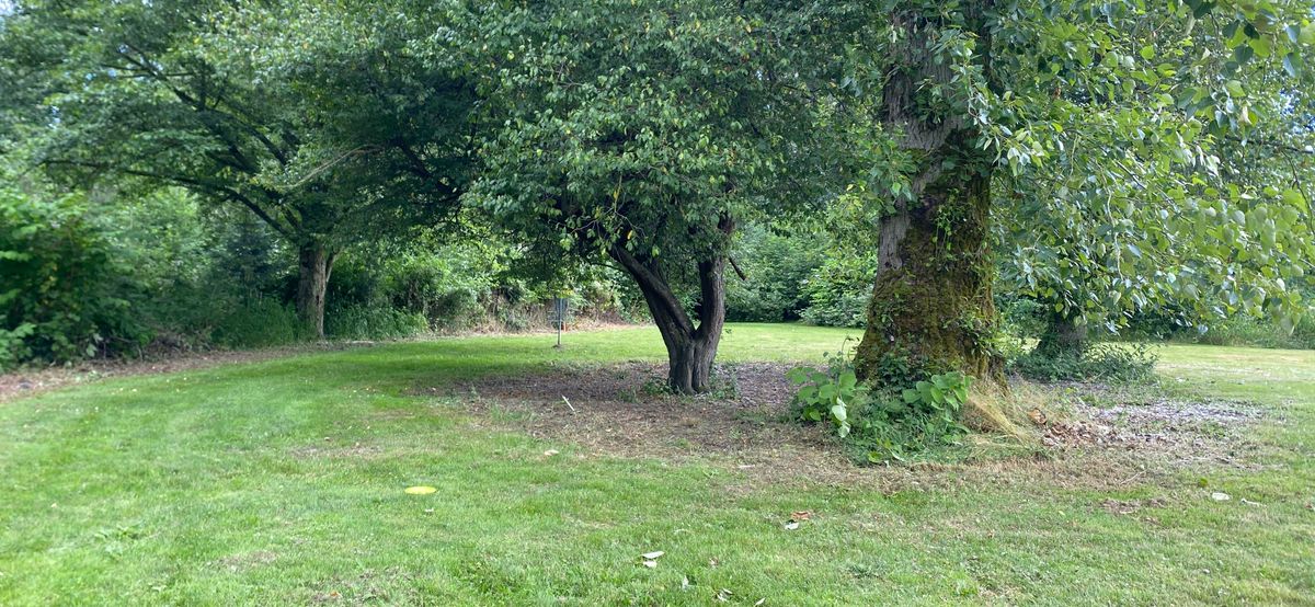 Hole 11