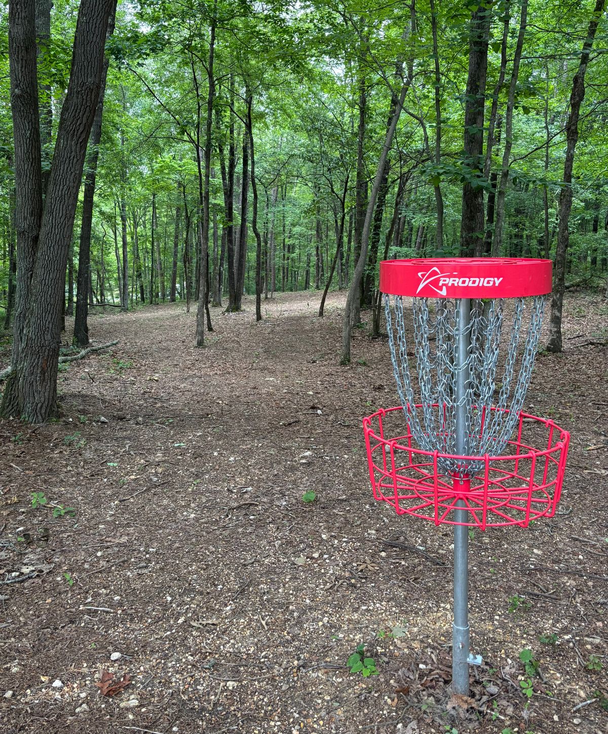 Hole #18 Basket to Tee
