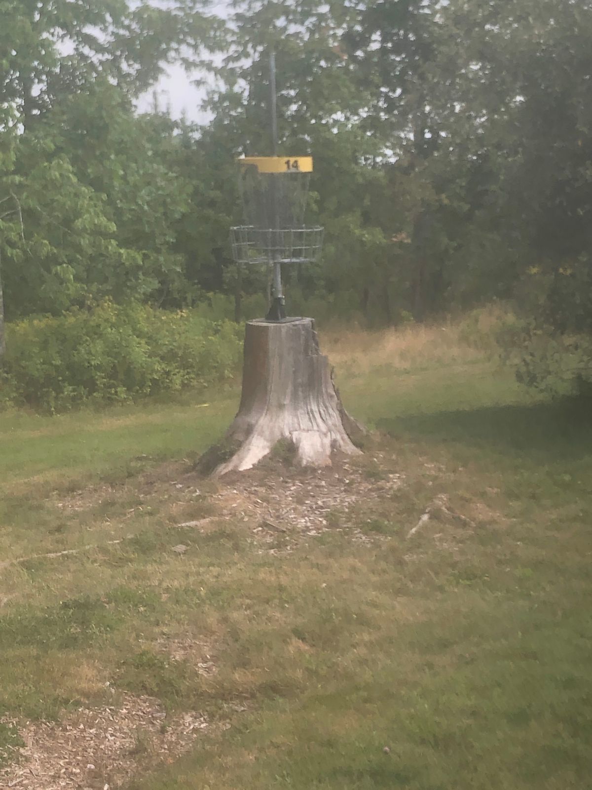 Stump basket