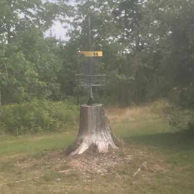 Stump basket