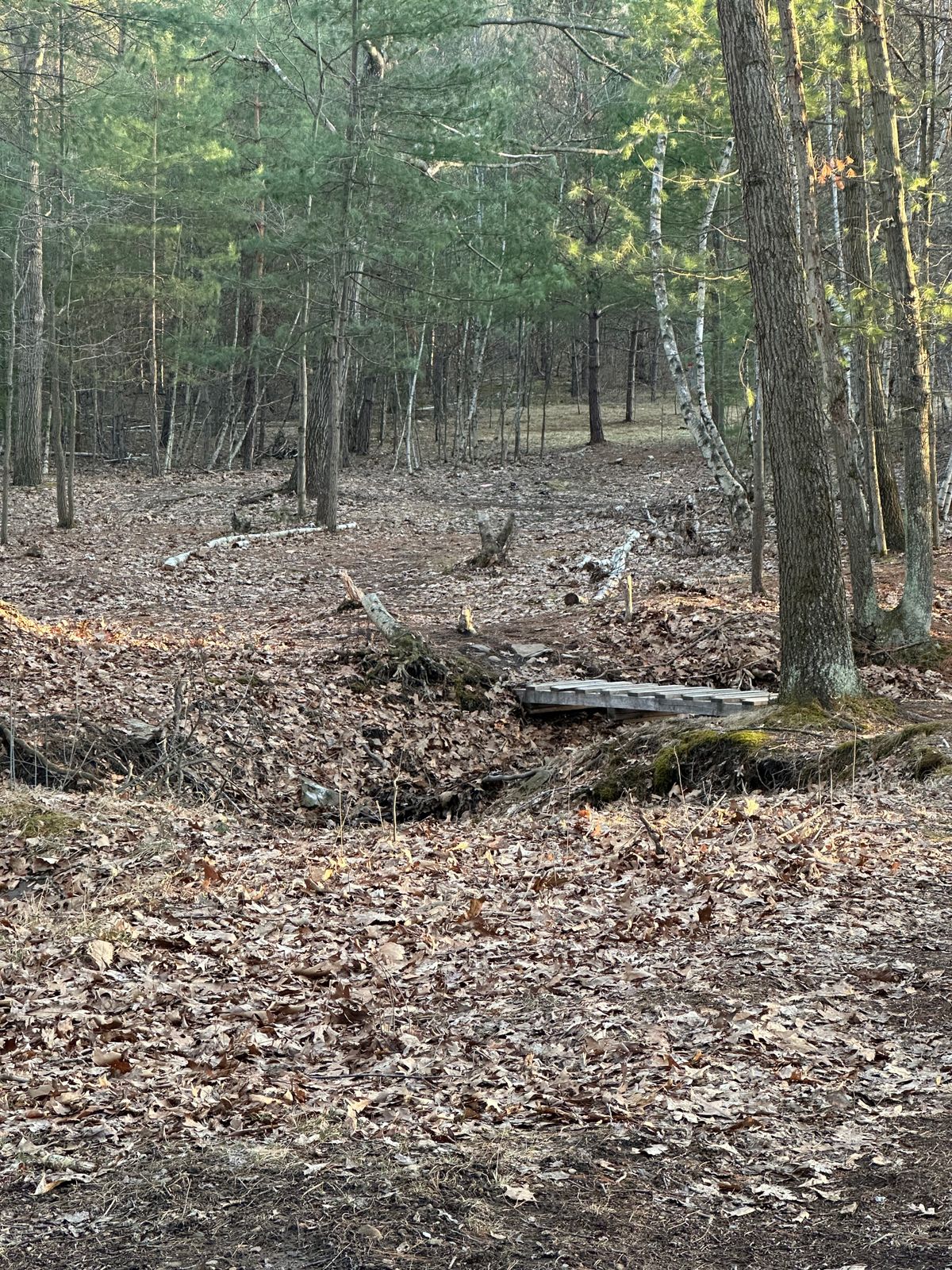 Hole 9