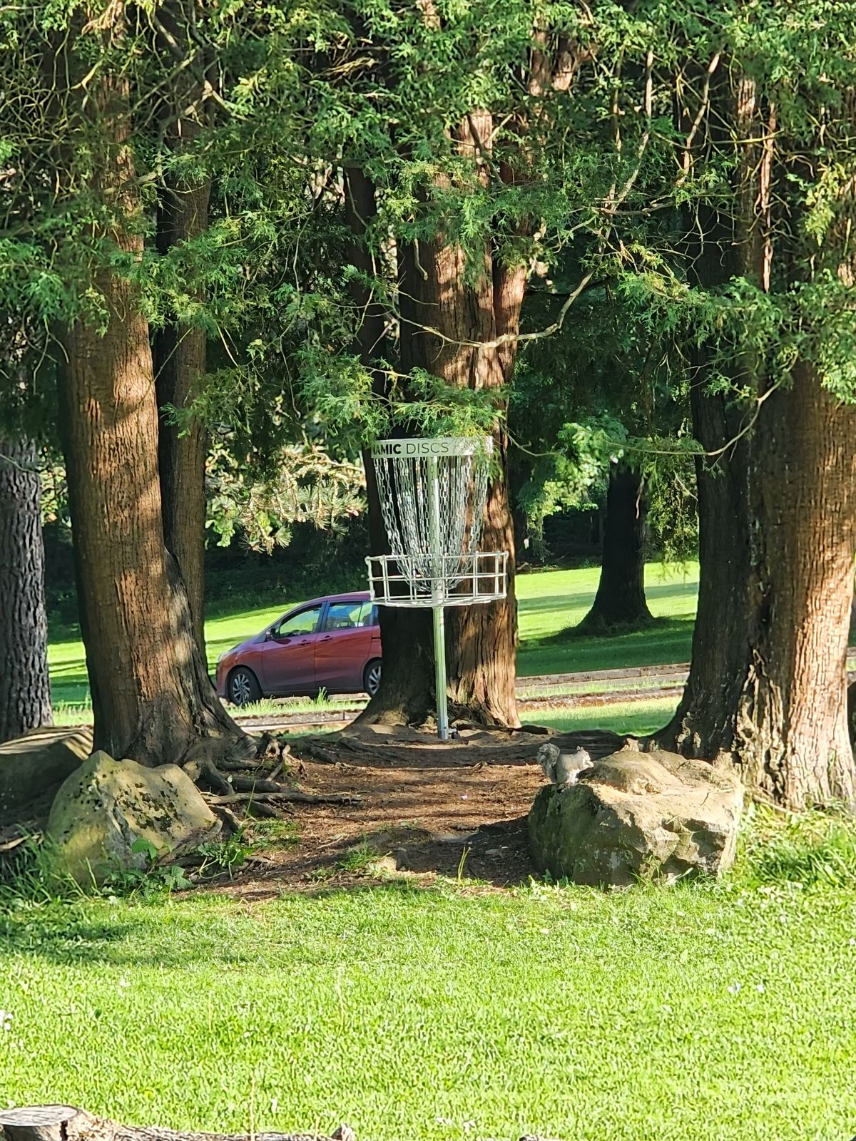 Hole #6 basket