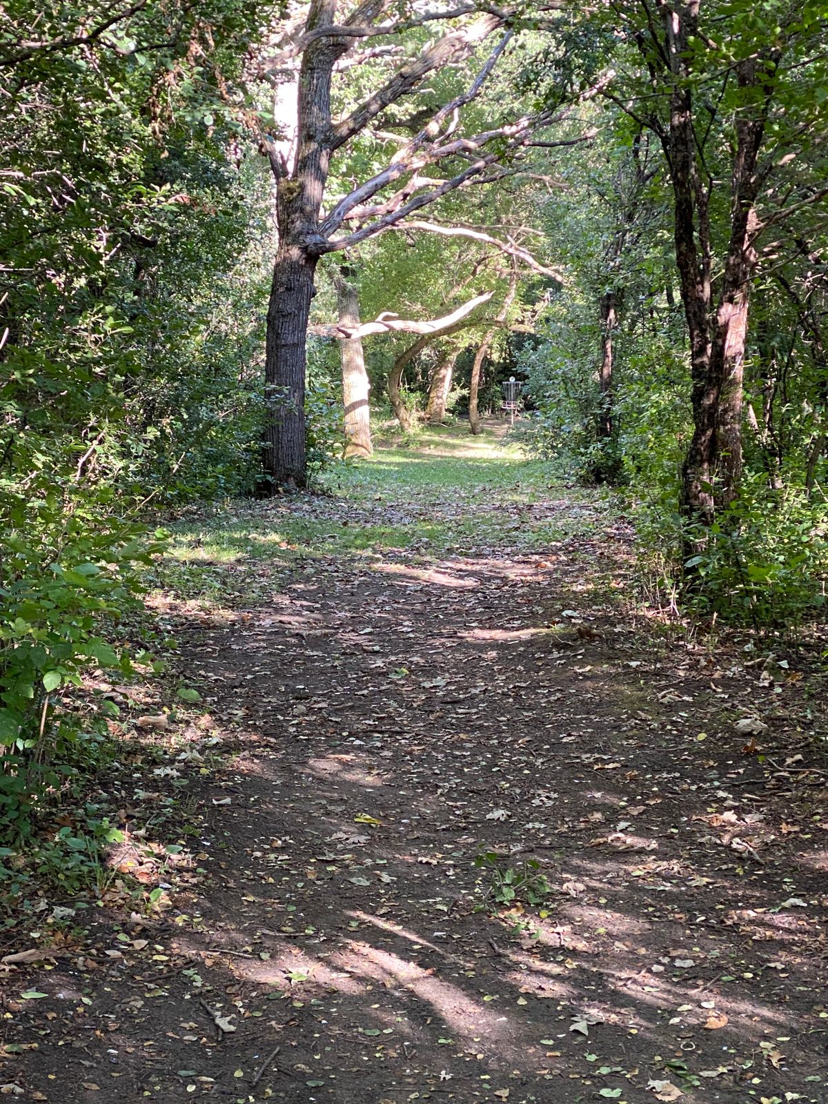 Lots o’ tunnels