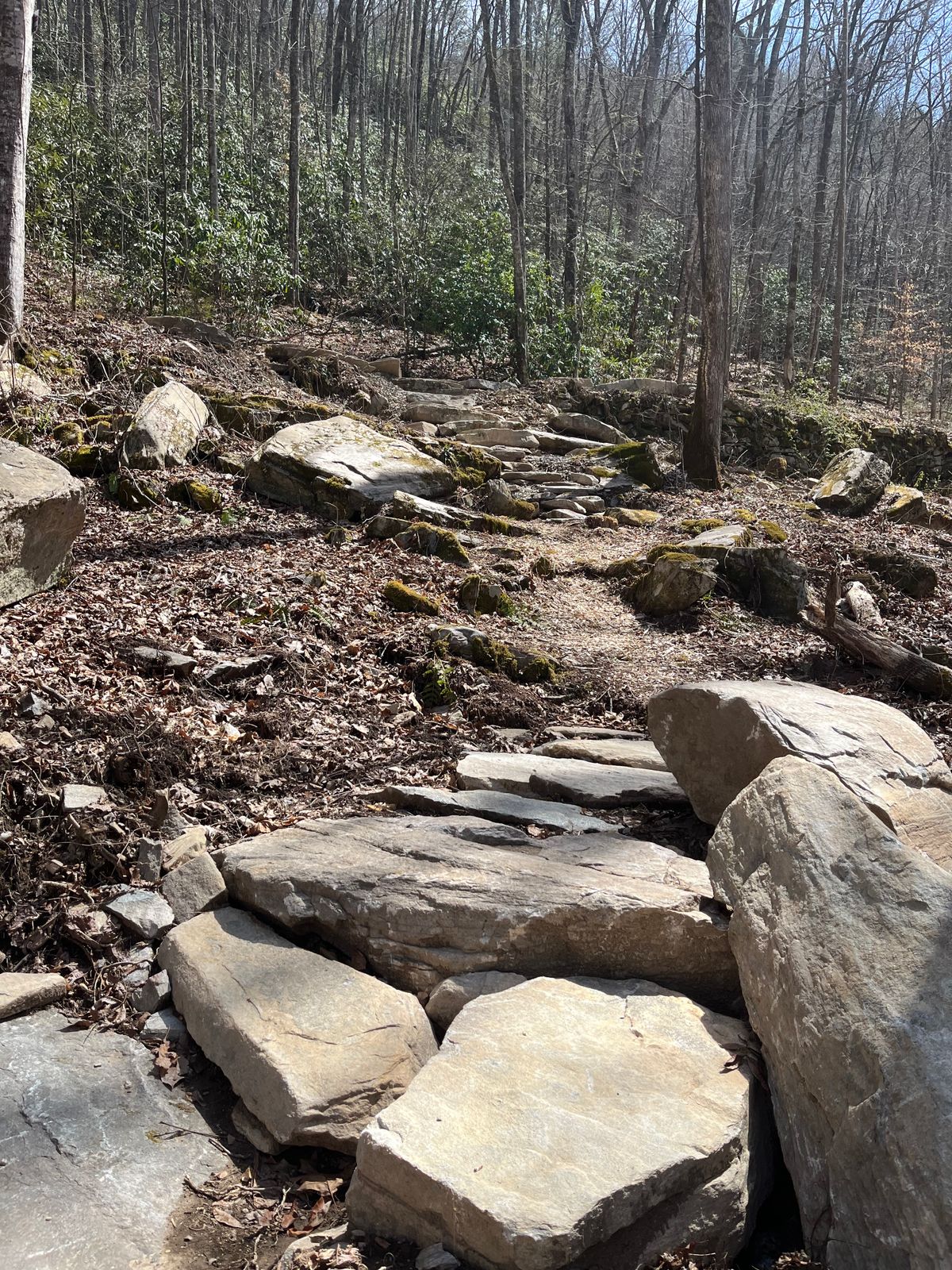 Hole 7 stairs