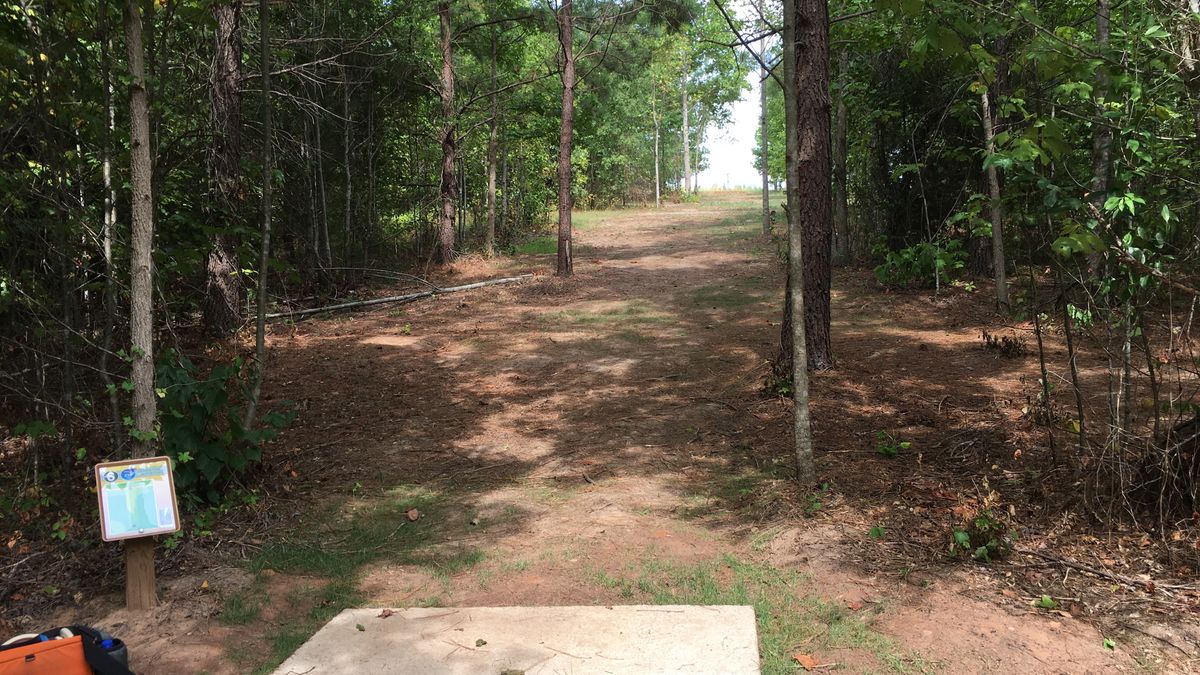 Hole 6
