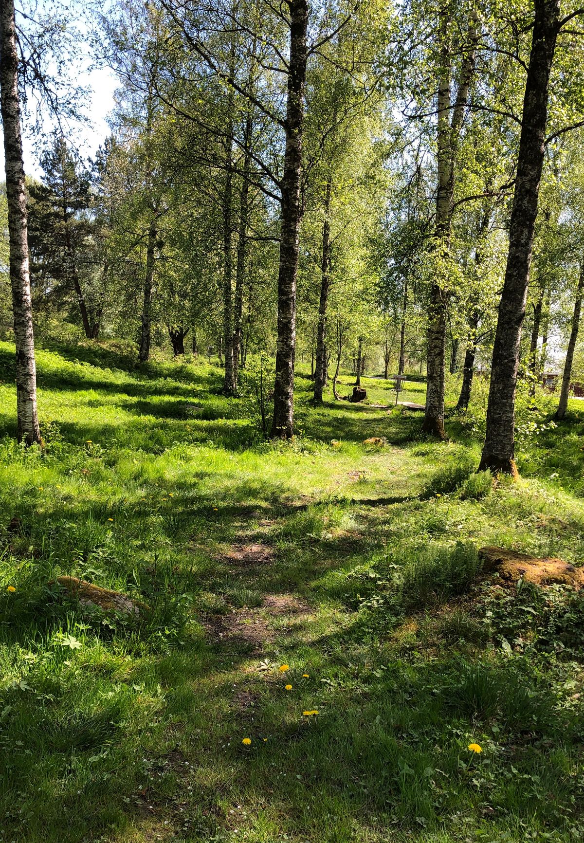 Hål 6