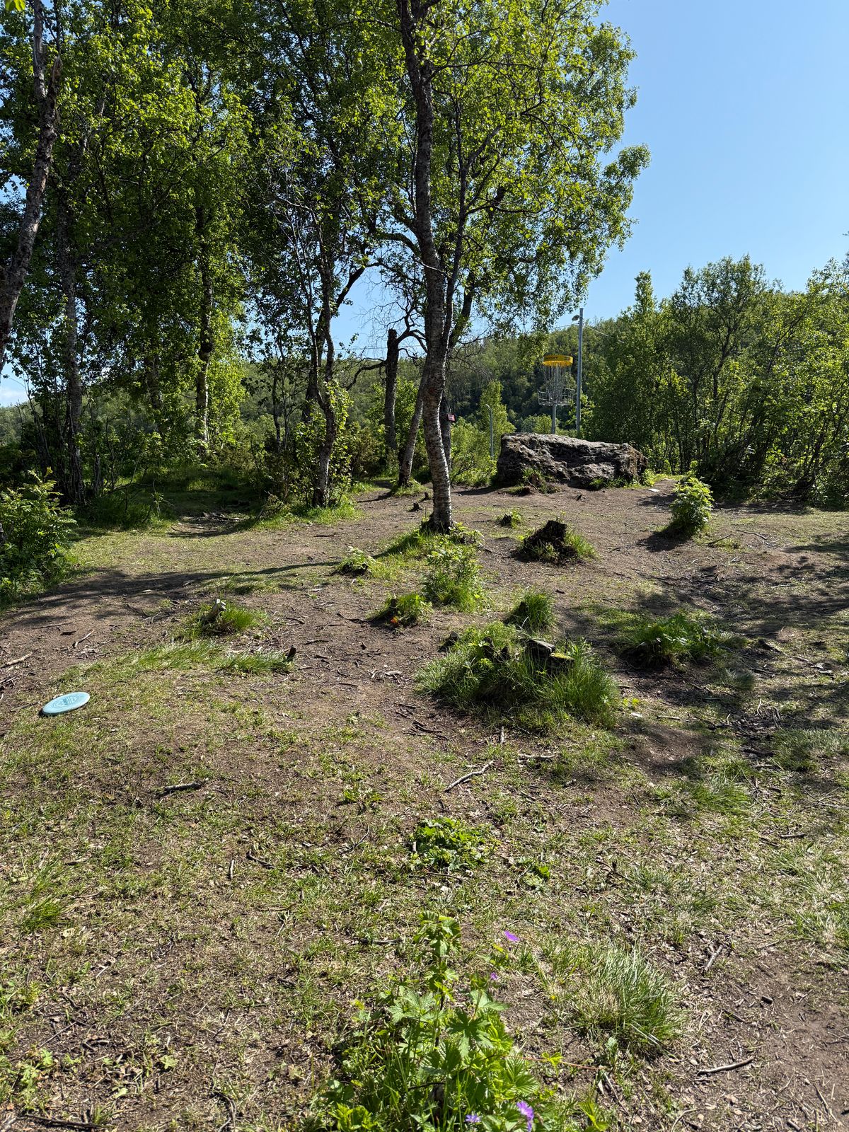 Hole 7 basket