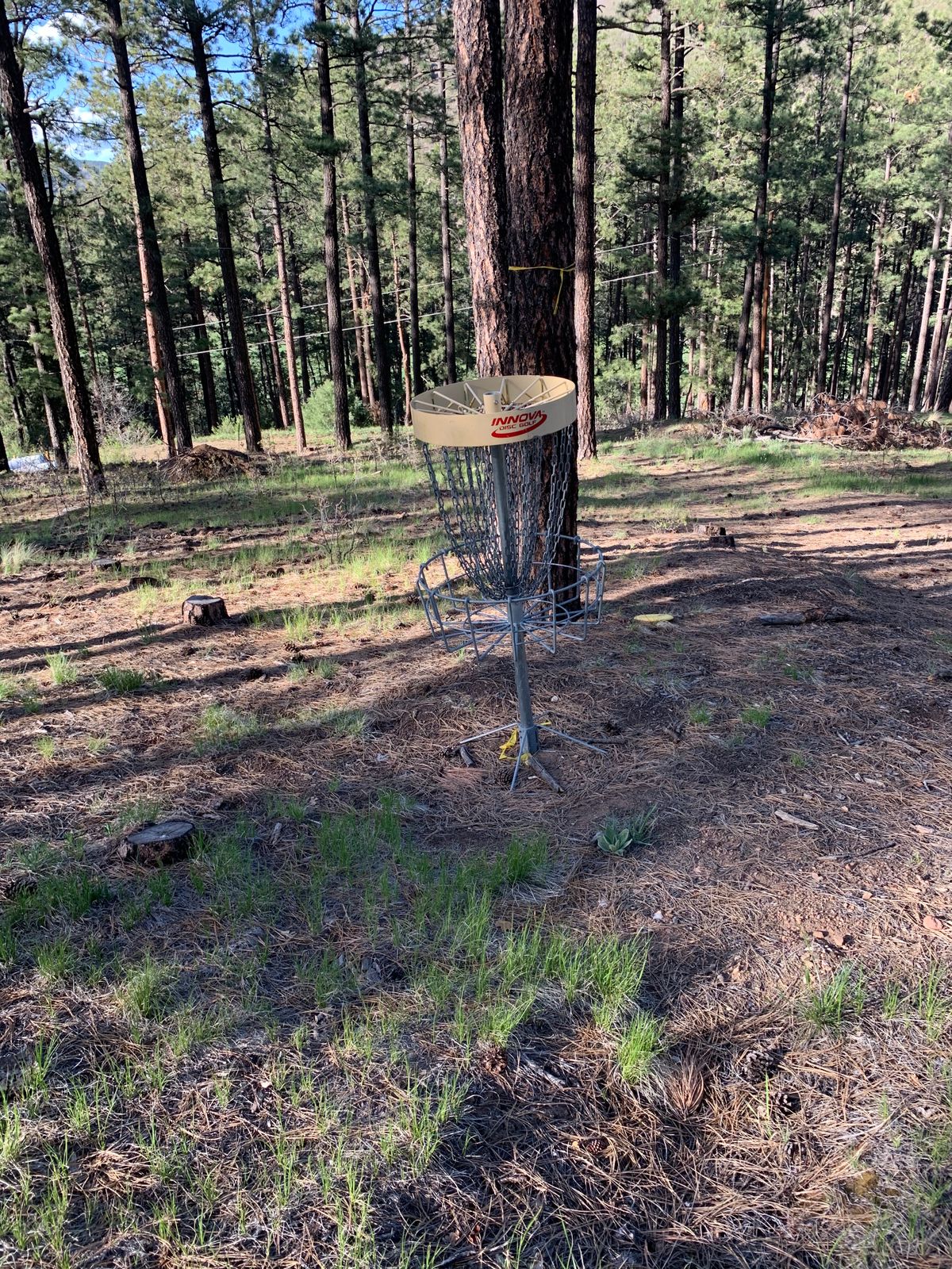Hole 13