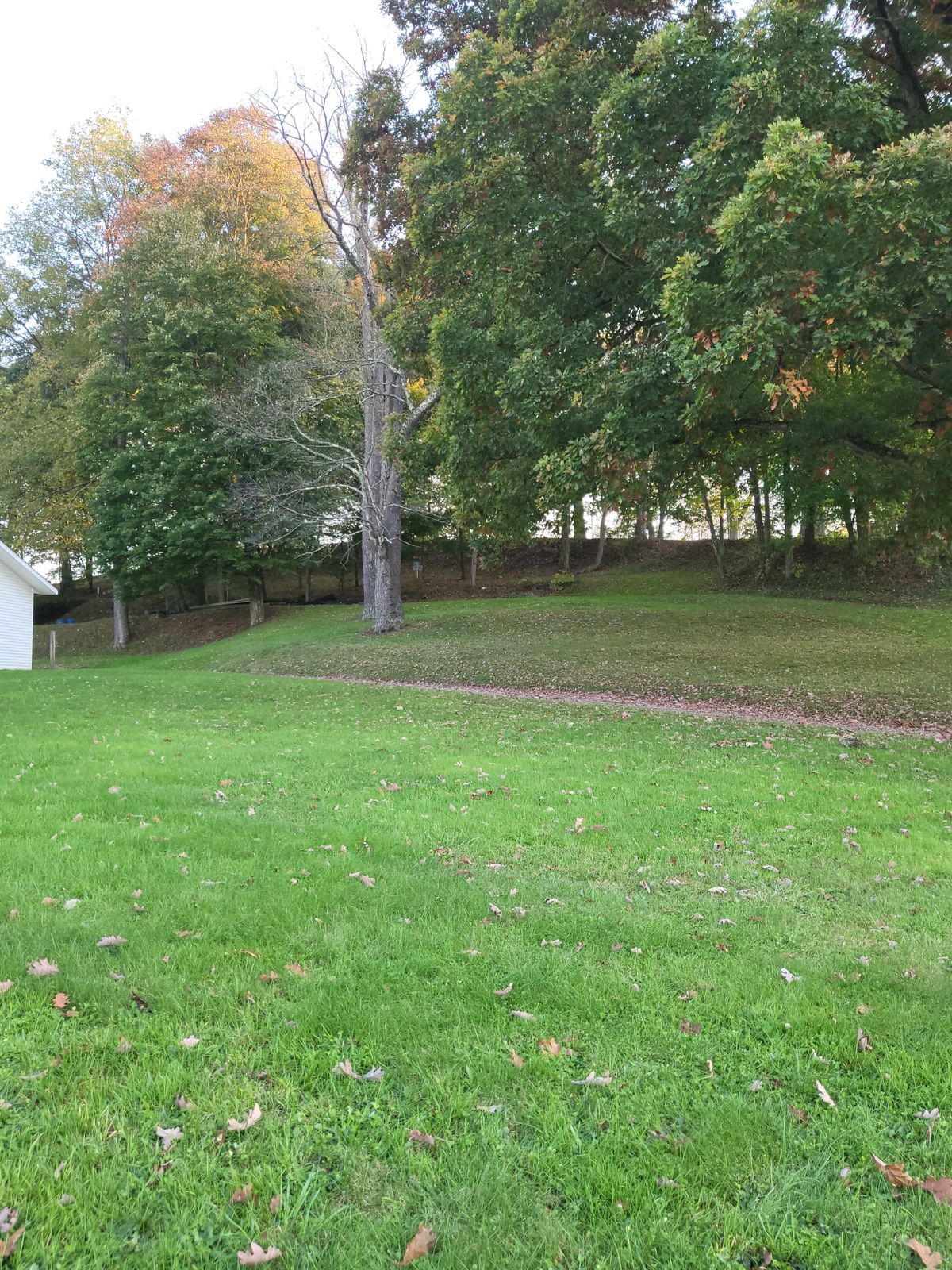 Hole 6 cont.