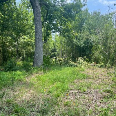 Limbs overlying fairway and way overgrown