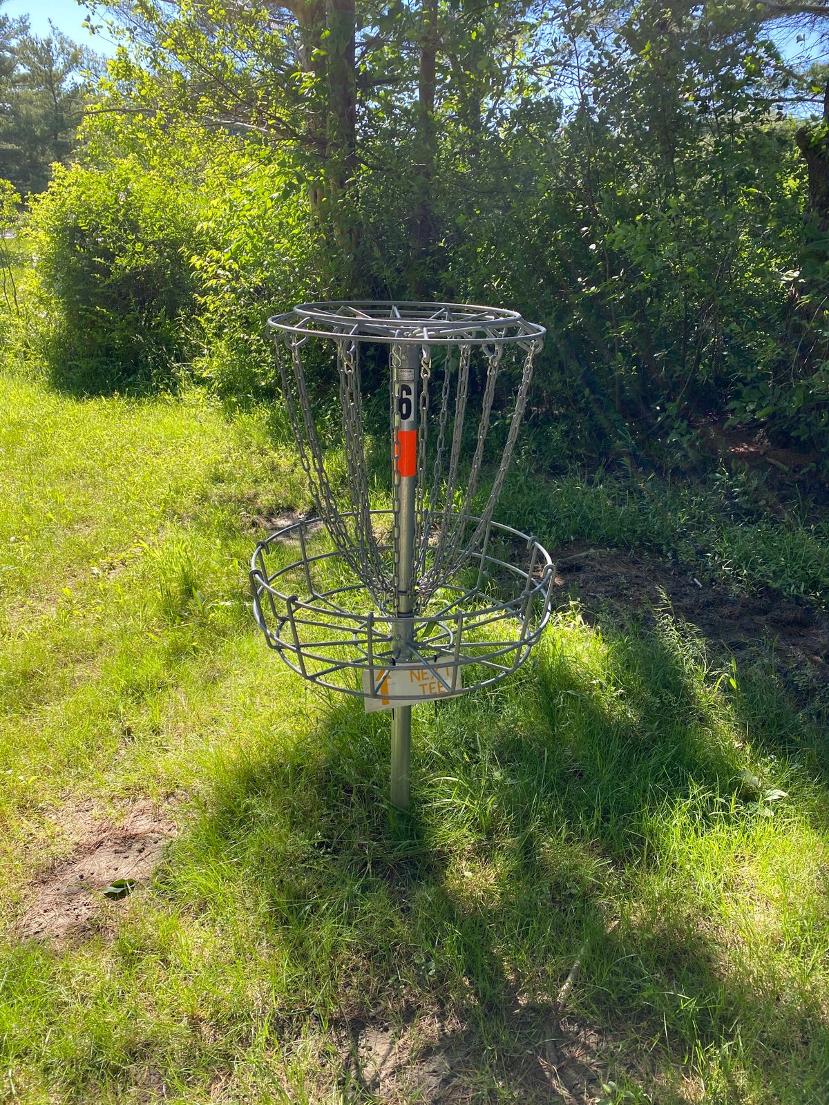 In the woods - hole 6
