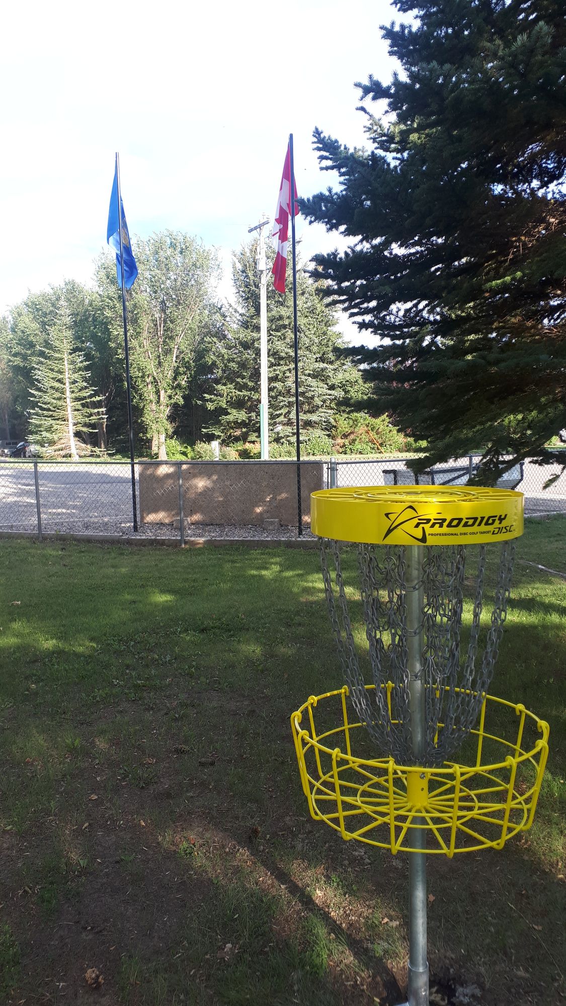 Basket on hole 9.