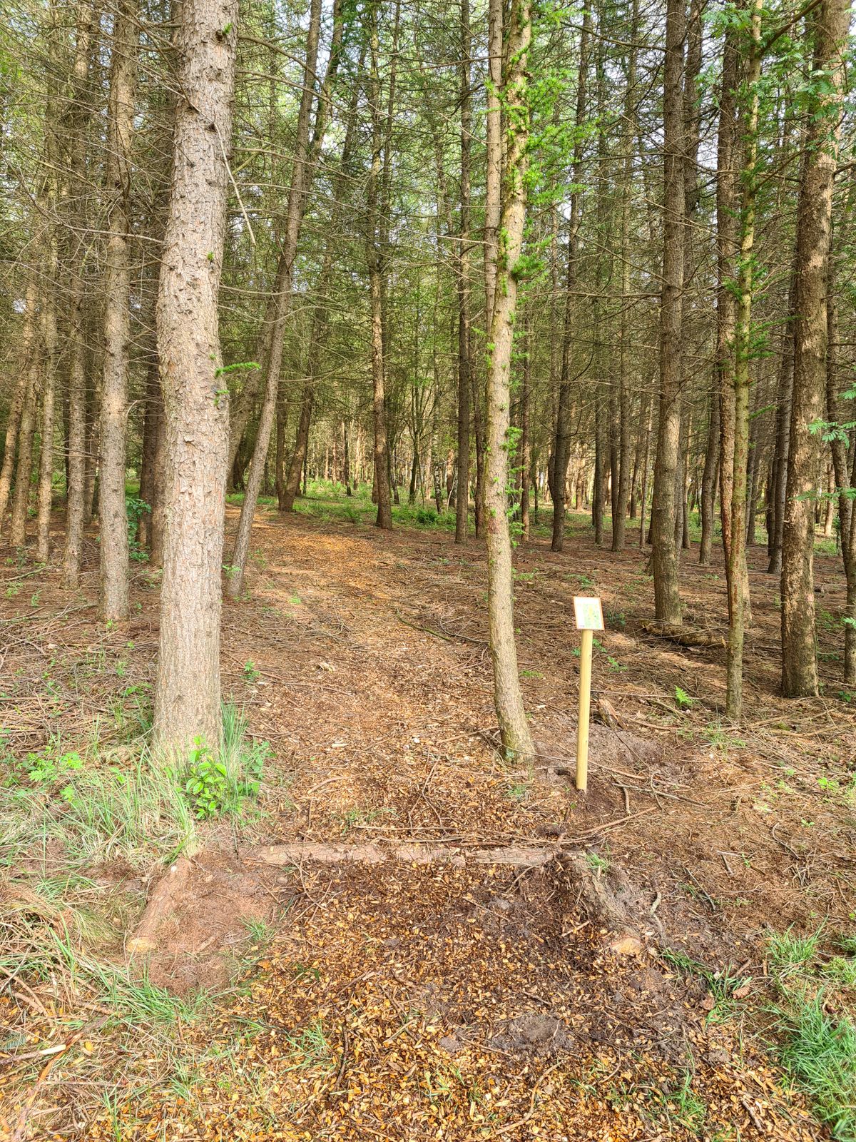 Hole 7