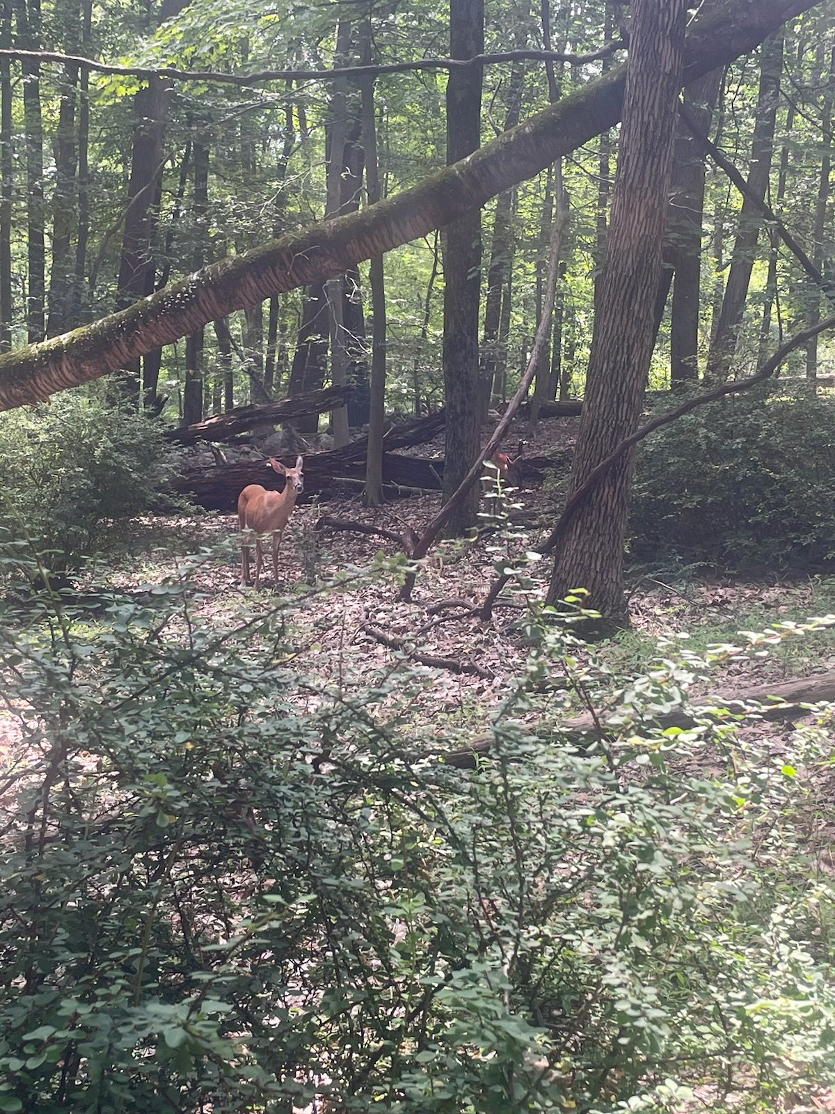 Behind tee of Hole 5