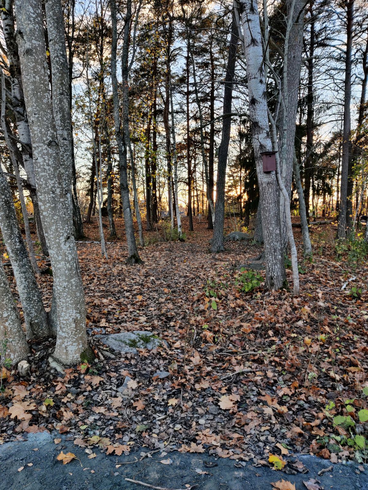 Hål 3. Rakt