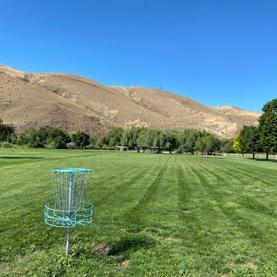 Freshly Mowed!