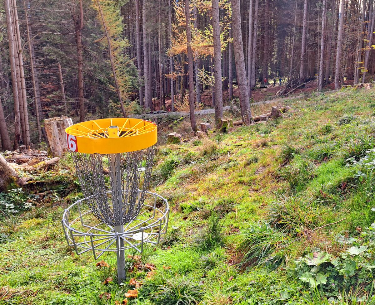 16th basket looking back. Wild!