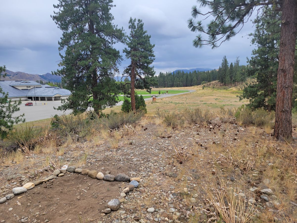 Hole 9 looking down to basket. Right after last small tree in the center