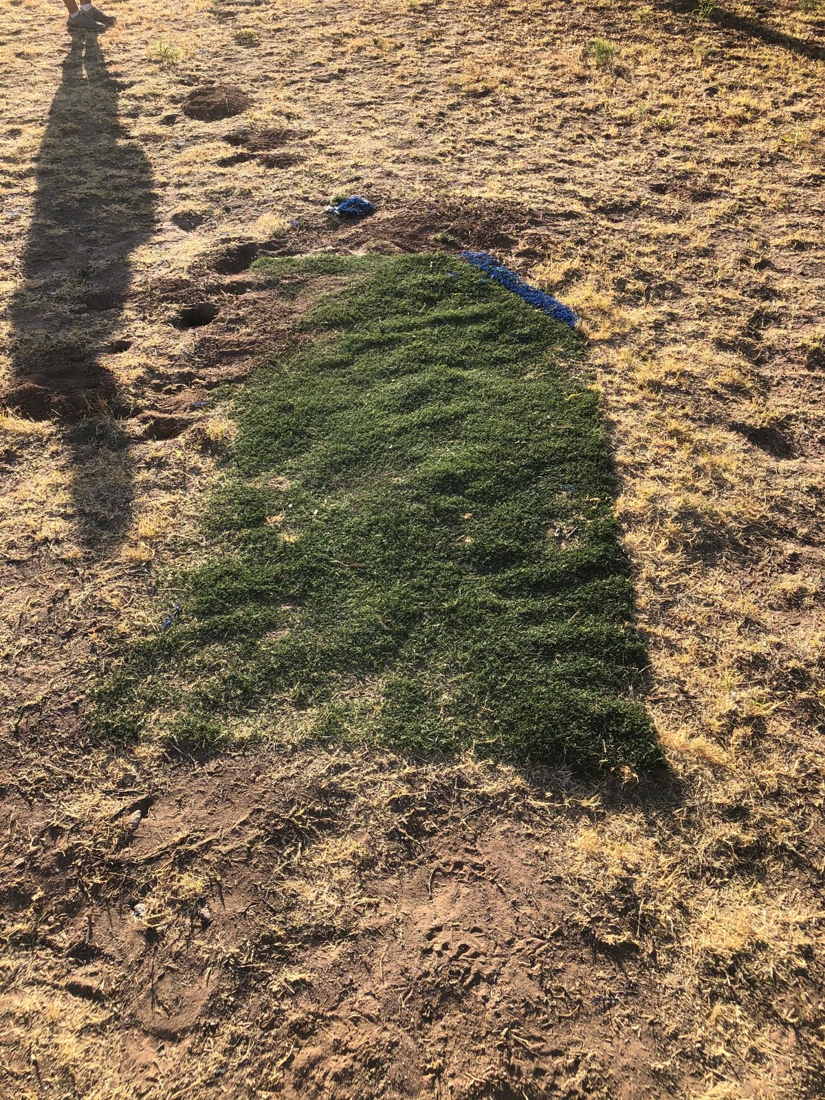 Rough tee pads