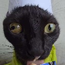 nschobbe