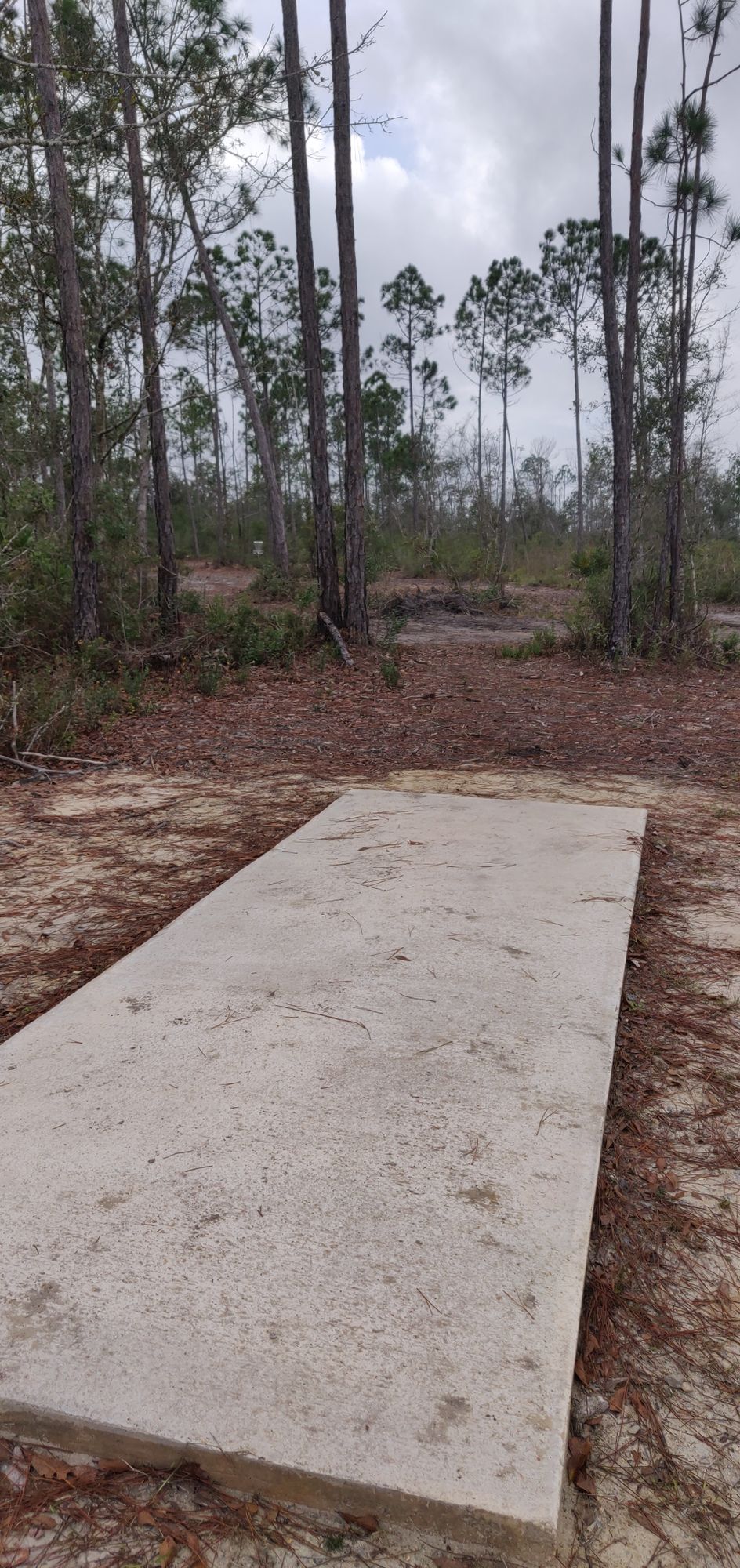 Hole 5 pad