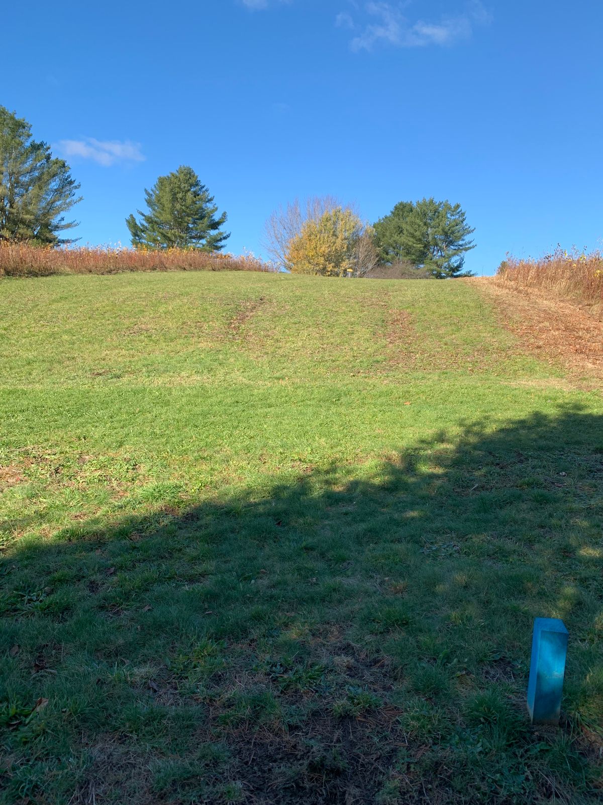 Hole 12 Tee