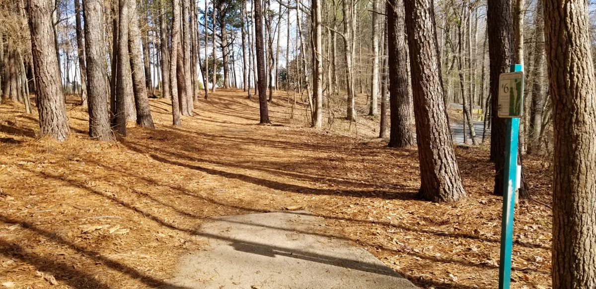 Hole 6 Tee Pads