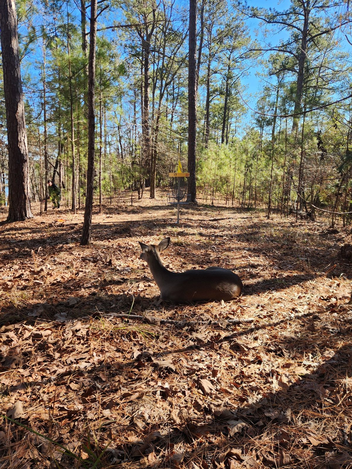 Hole 17