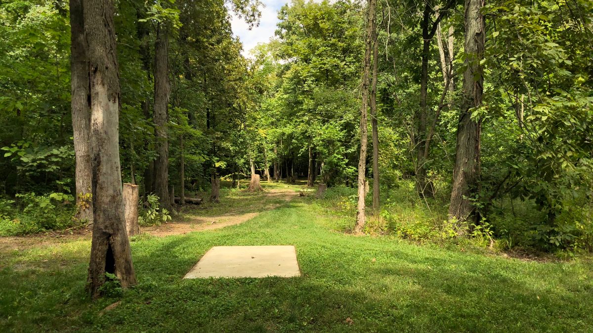 Hole 6
