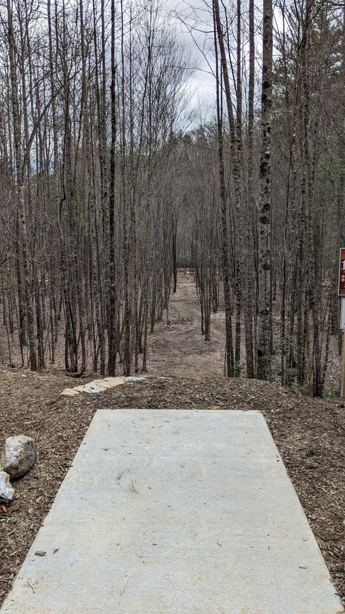 Hole 15