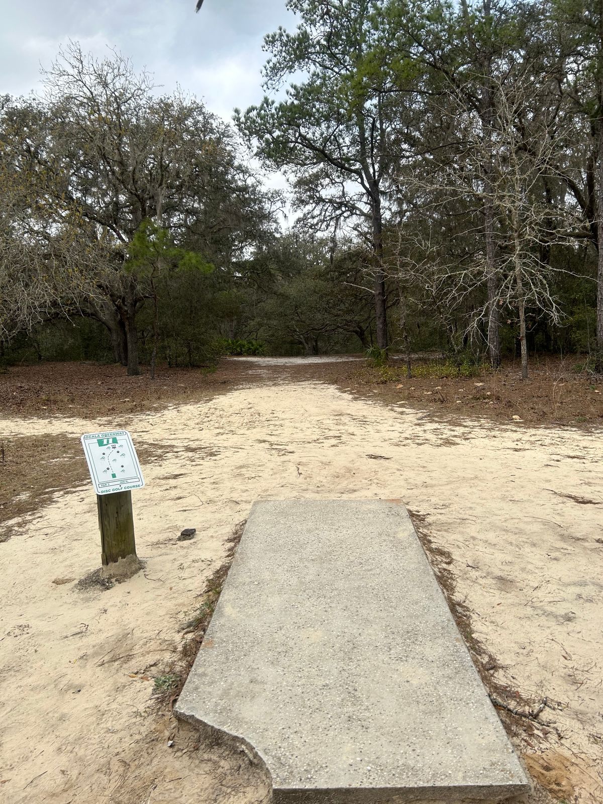 #11 Tee (only pad)