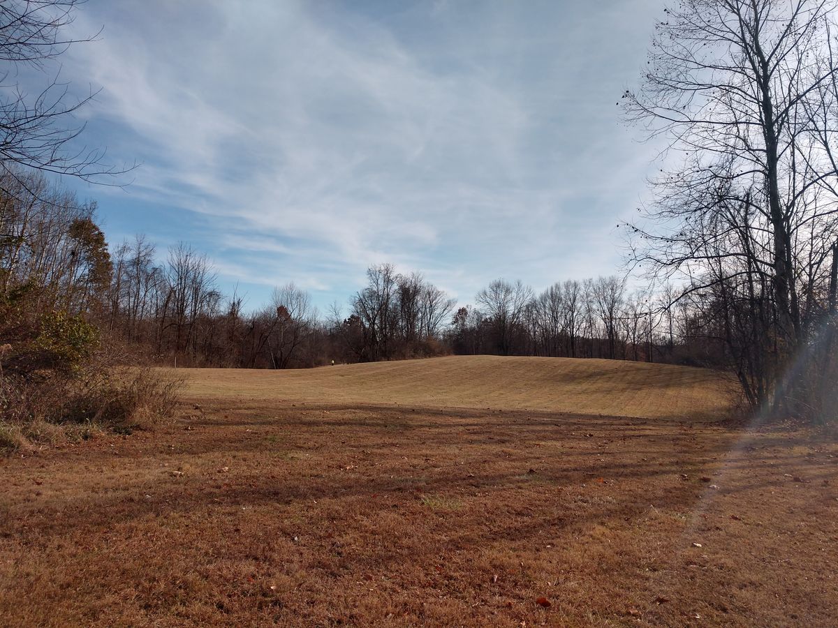 Looking towards #15 from #14 fairway.