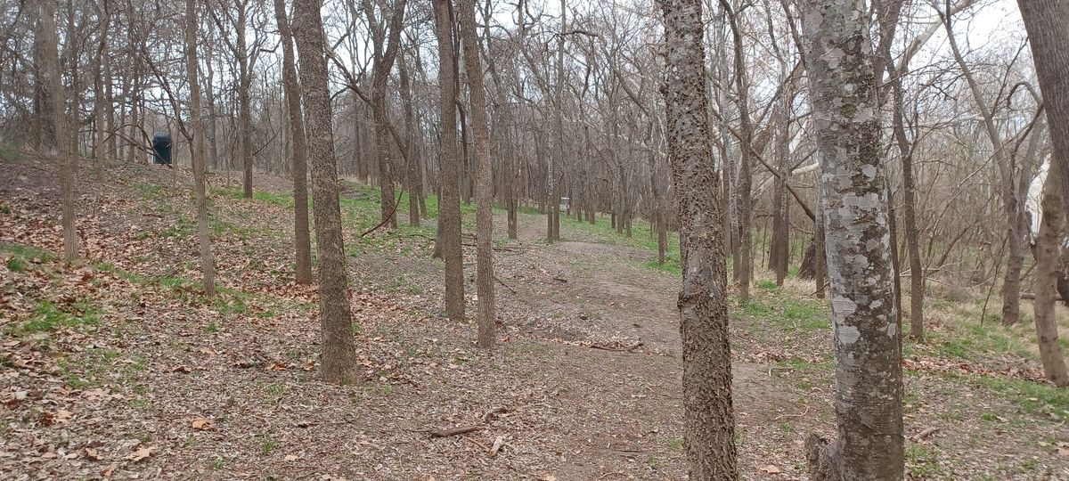 Hole 14