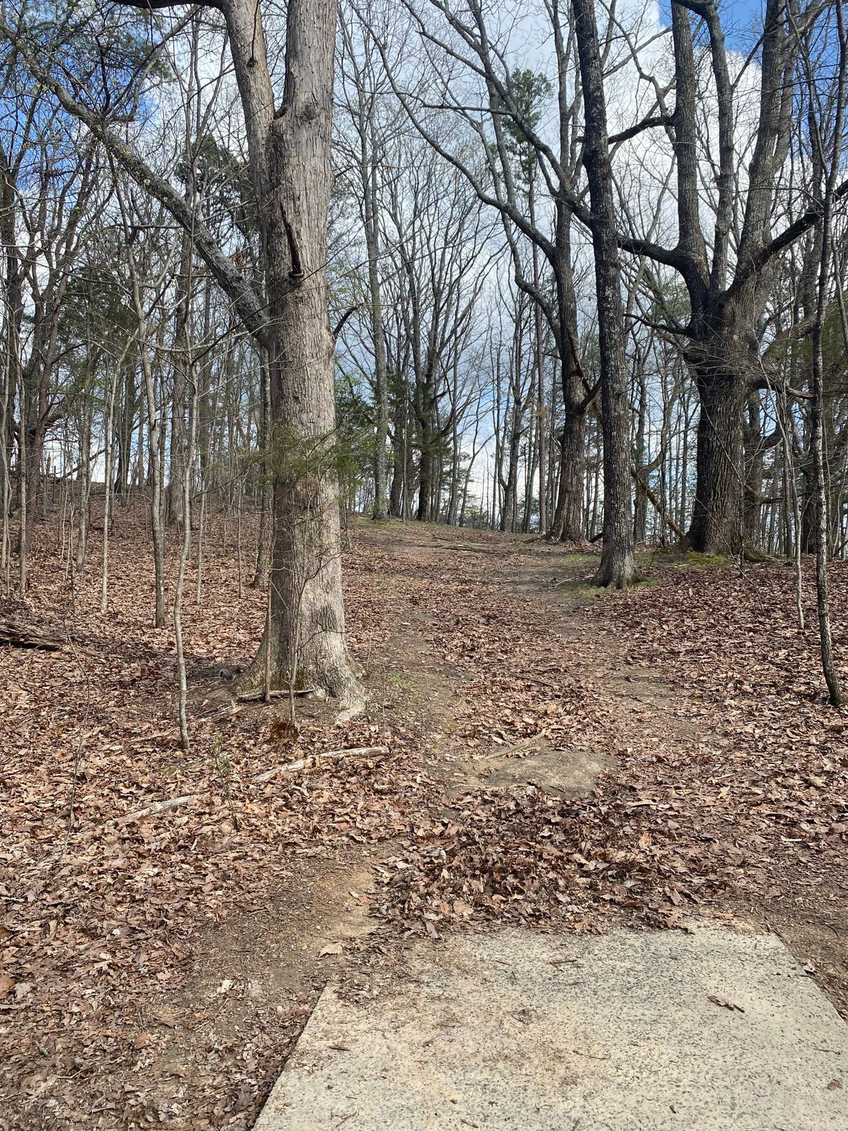 Hole 16, yellow basket now left side, red further down and right.