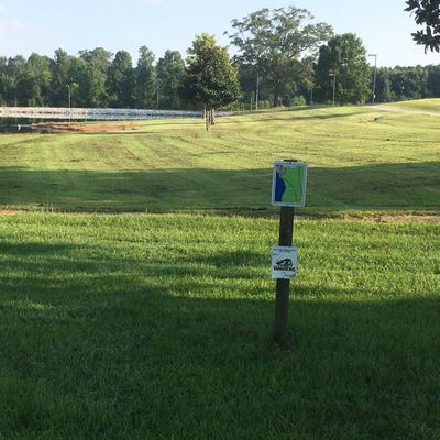 Hole 5 tee