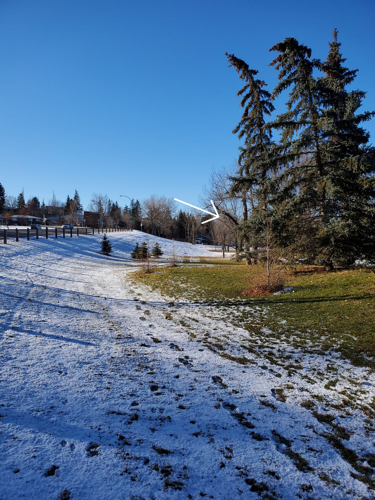Back 9 Hole 3 / Full 18 hole 12